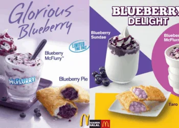 McDonald’s Blueberry