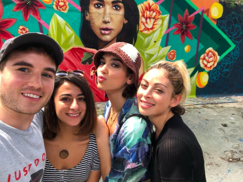 Dua Lipa Mural