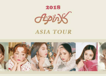APINK