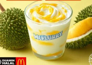 D24 Durian McFlurry