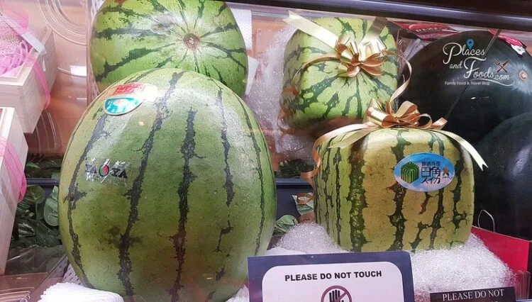 Japan Square Watermelon