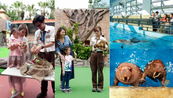 Ocean Park Hong Kong