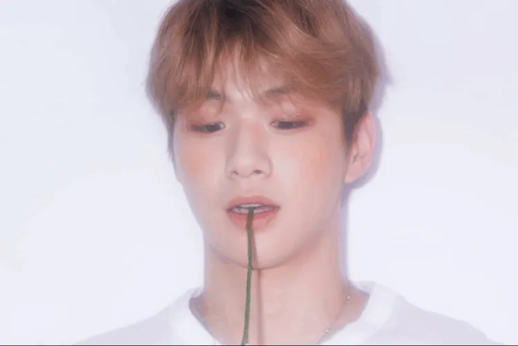 Kang Daniel