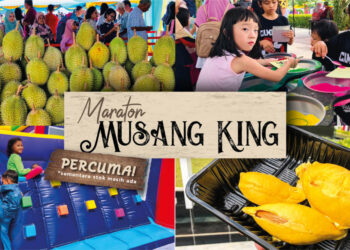 Musang King Marathon