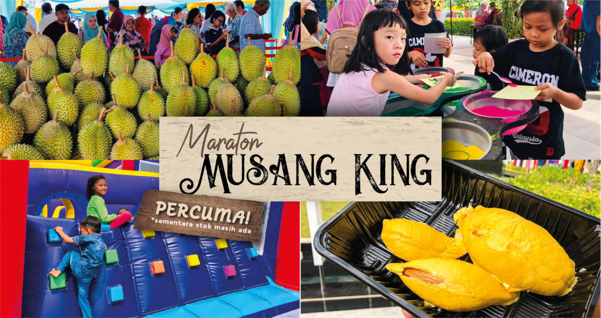 Musang King Marathon
