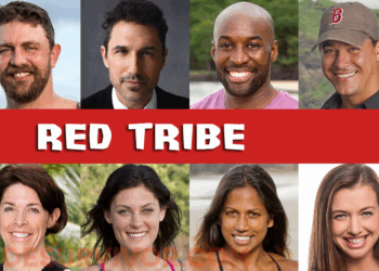 Survivor 40