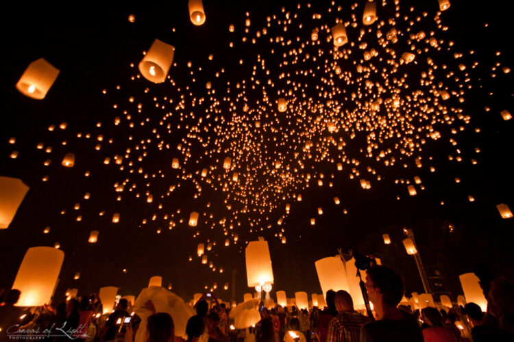 Lights Fest