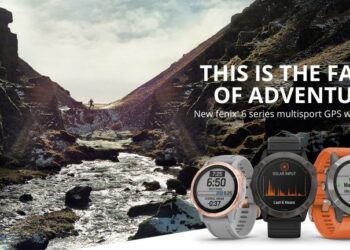 Fenix 6