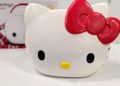 Hello Kitty Carrier