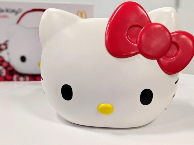 Hello Kitty Carrier