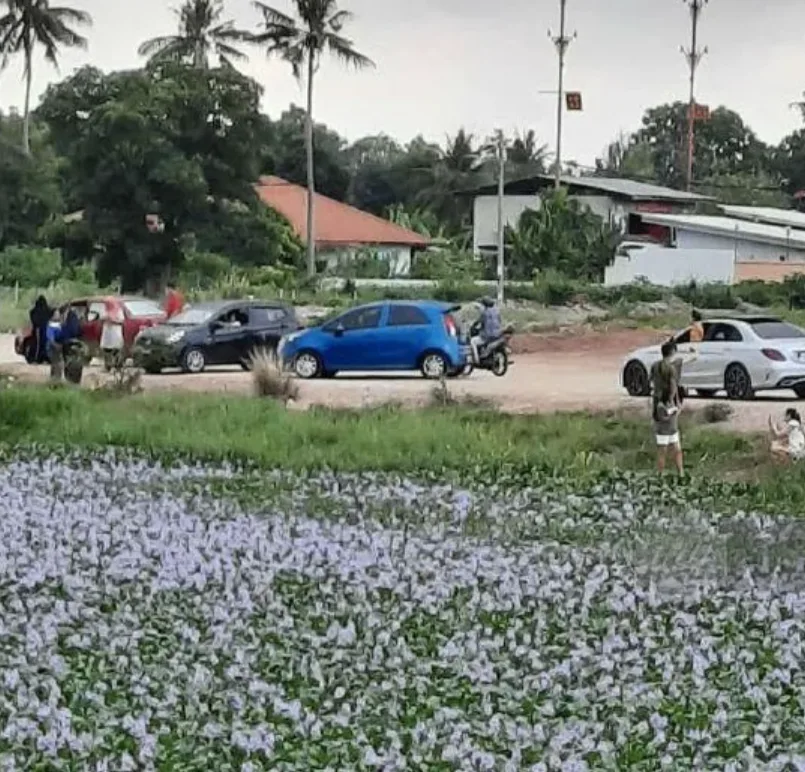 Taman Semabok Perdana
