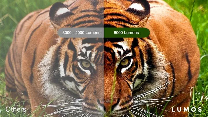 LUMOS Auro Projector