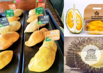 Durian Deliveries