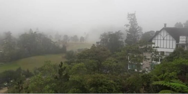 Netizens Yearning To Visit Cameron Highlands For Its Cool Weather