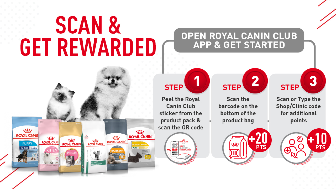 Royal store canin point