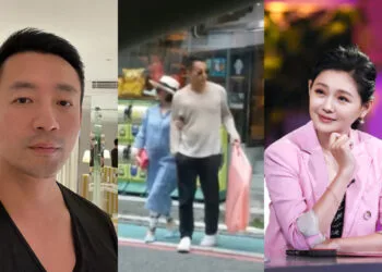 Sources: Weibo/汪少菲/大S/YouTube/這!不是新聞