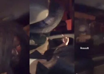 Source: TikTok/@caalfas