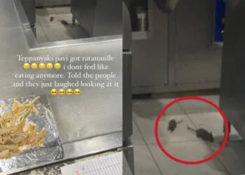 Source: IG/@sarahshimmers