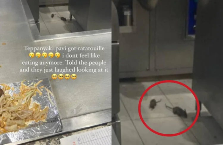 Source: IG/@sarahshimmers