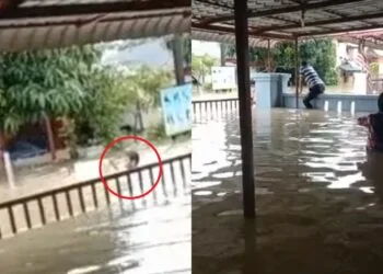 Source: TikTok/@tutynoormalina