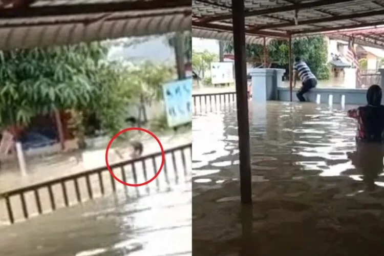 Source: TikTok/@tutynoormalina