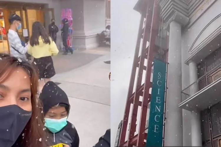 Source: TikTok/@pedzulkefli