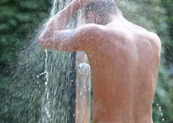 Source: Wikimedia Commons