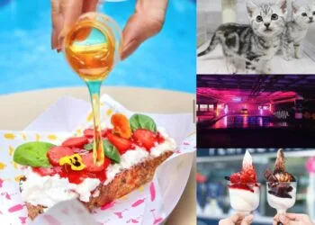 Sources: Instagram/@popsicola.kl, @perfecticemy, Facebook/Blastacars Malaysia, havehalalwilltravel.com.