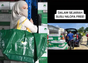 Sources: IG/@nilofagroup, TikTok/@sayalipas