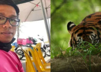 SOURCE: MSTAR.COM.MY, PUBLIC DOMAIN PICTURES