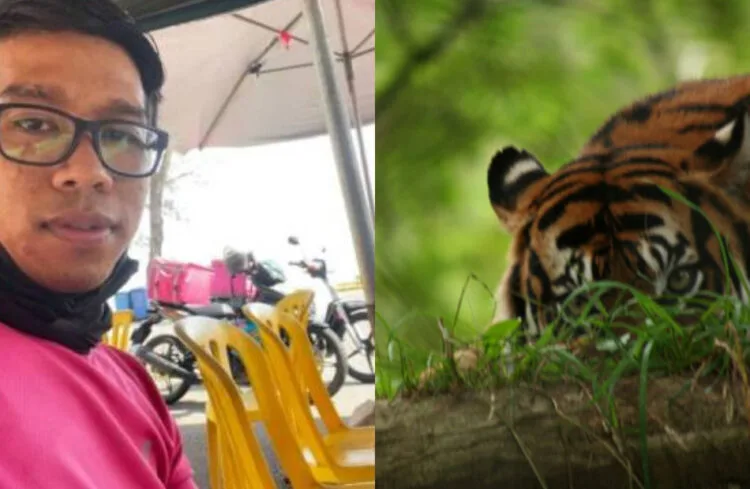 SOURCE: MSTAR.COM.MY, PUBLIC DOMAIN PICTURES