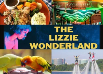 SOURCE: INSTAGRAM @QIDOTCAFE @VANSMYOFFICIAL @FLYINGBOARDMALAYSIA @G2GANIMALGARDEN, TWITTER @GSCINEMAS