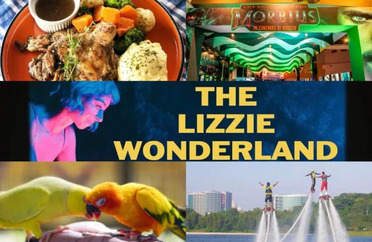 SOURCE: INSTAGRAM @QIDOTCAFE @VANSMYOFFICIAL @FLYINGBOARDMALAYSIA @G2GANIMALGARDEN, TWITTER @GSCINEMAS