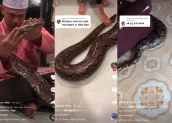 Source: TikTok/Kakak miko