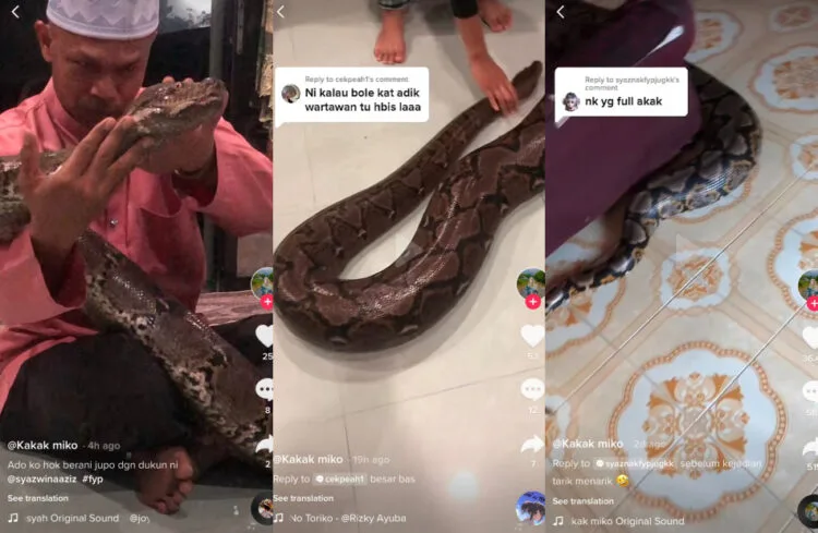 Source: TikTok/Kakak miko