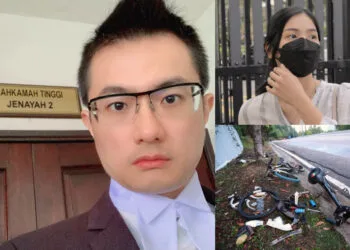 Sources: Facebook/大马王力宏/Sim Tze Tzin 沈志/Saleh & Aizac, Advocates & Solicitors