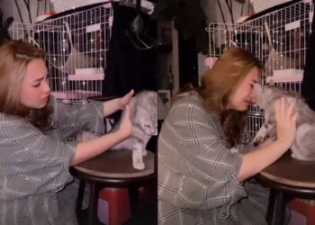 Source: Instagram/@jannanick