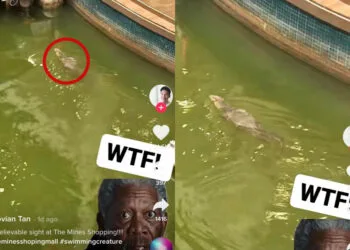 Source: TikTok/@jovdapianist