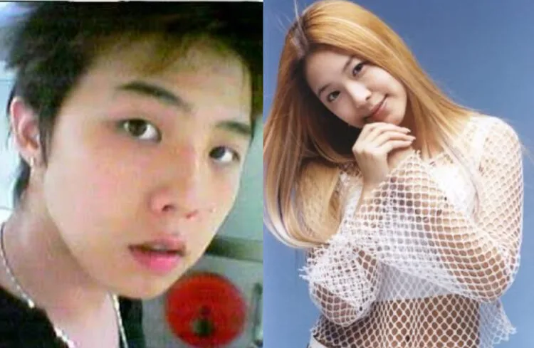 Sources: Amino Apps, Pinterest