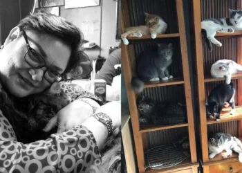 Source: Facebook/Adibah Noor, Aliff Channel