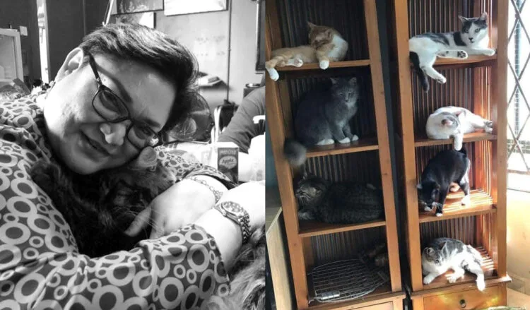 Source: Facebook/Adibah Noor, Aliff Channel