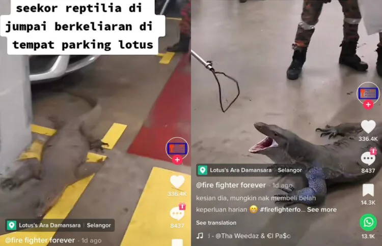 Source: TikTok/Fire Fighter Forever