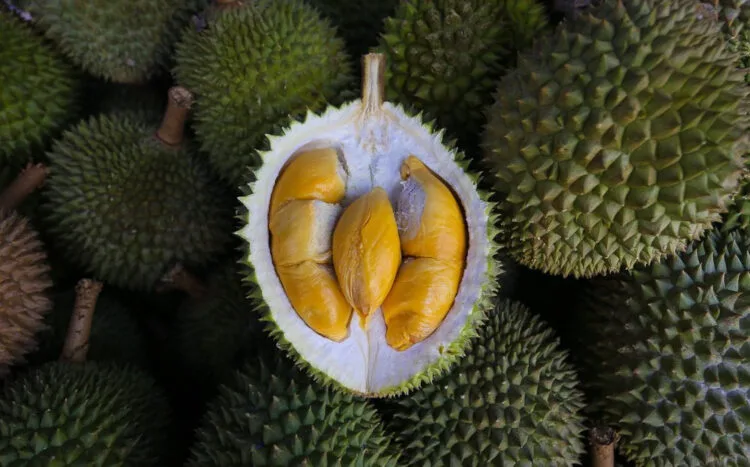 SOURCE: TWITTER/@MICKEY_KOH