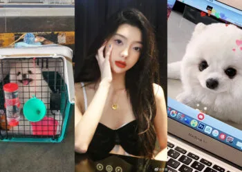 Sources: Weibo/李紫婷MiMi/Instagram/@minimelodyy