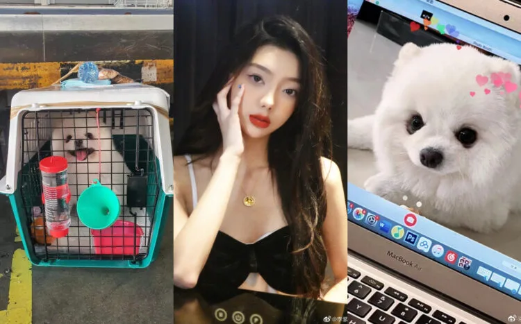 Sources: Weibo/李紫婷MiMi/Instagram/@minimelodyy