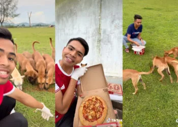 SOURCE: TIKTOK @FAIZ.AIZIF