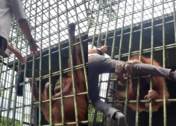 SOURCE: TWITTER @ISUSEMASAVIRAL