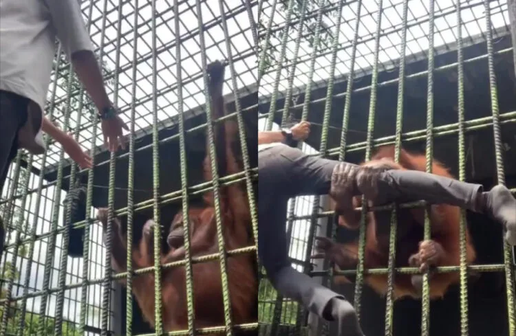 SOURCE: TWITTER @ISUSEMASAVIRAL