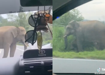 SOURCES: TIKTOK/@SCANDALCOUTURE, TIKTOK/@ISHAAA.MN_