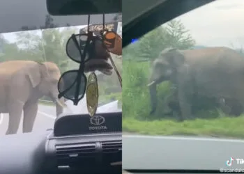 SOURCES: TIKTOK/@SCANDALCOUTURE, TIKTOK/@ISHAAA.MN_